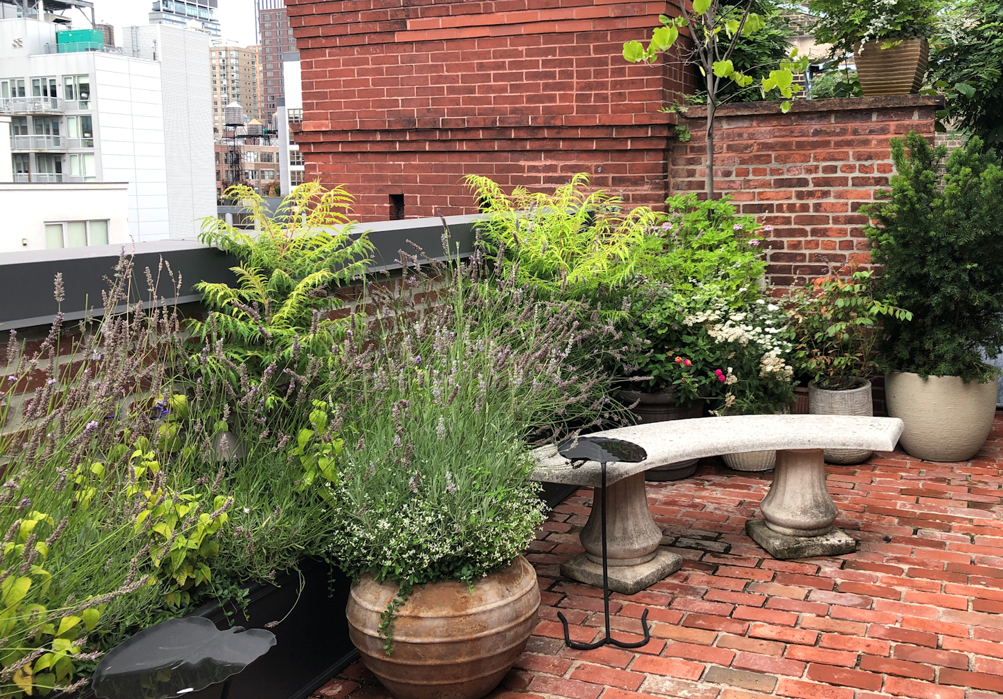 The rooftop spa's private garden is redolant of lavender.