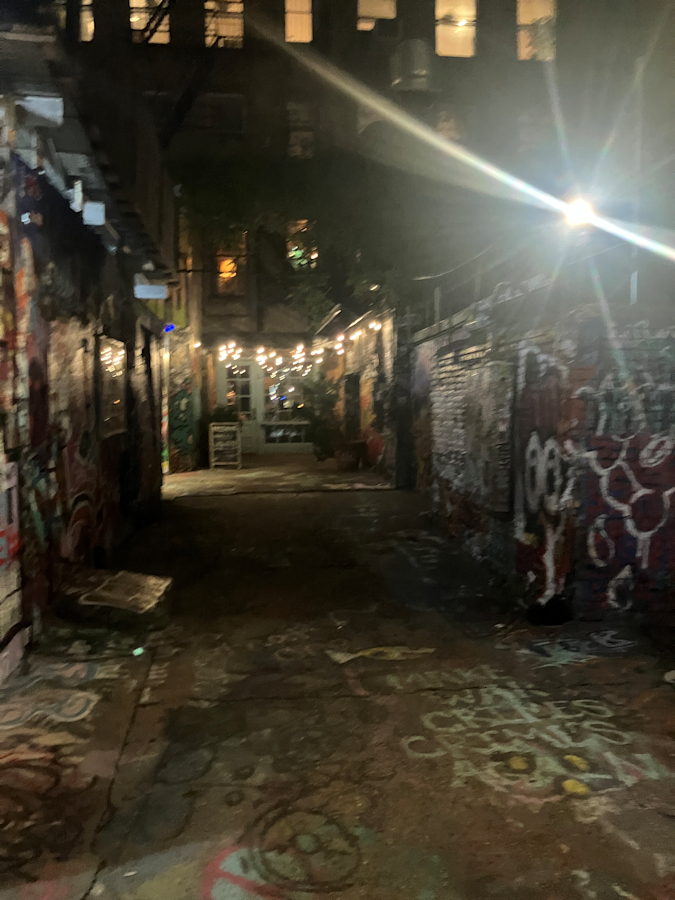Freeman Alley at Night